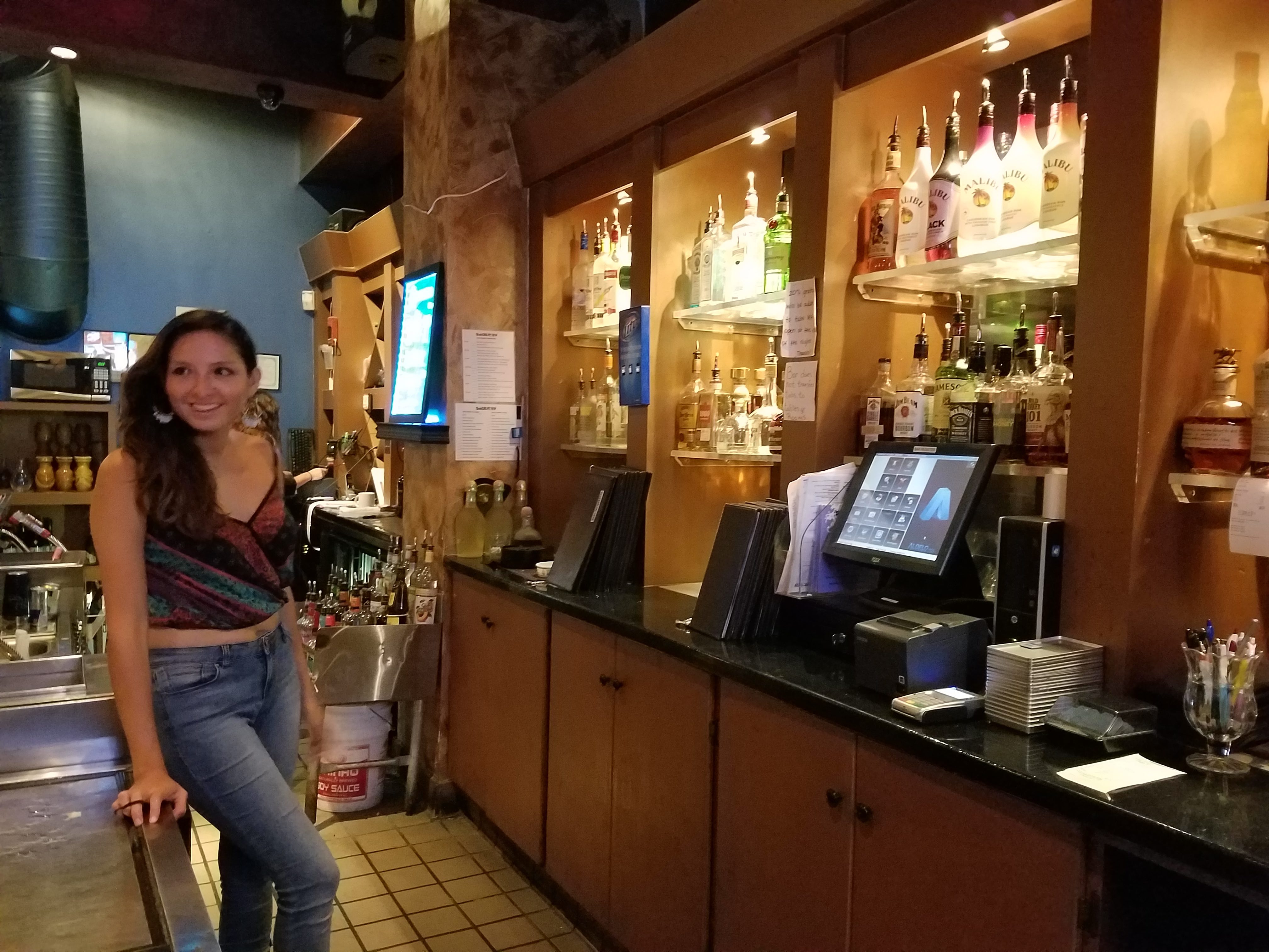 Gallery shokitini Gallery shokitini